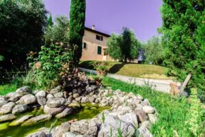 Agriturismo La Castellina di Taddei Stefania