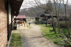 Agriturismo La Cirimilla