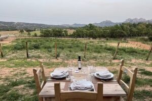 Agriturismo La Colti