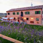 Agriturismo La Corte