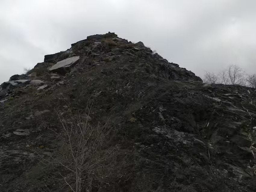 Agriturismo La Ginestra