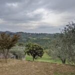 Agriturismo La Limonaia