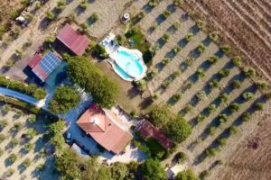 Agriturismo La Locandiera