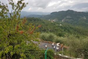 Agriturismo La Lupa Di Pisculli Stefano