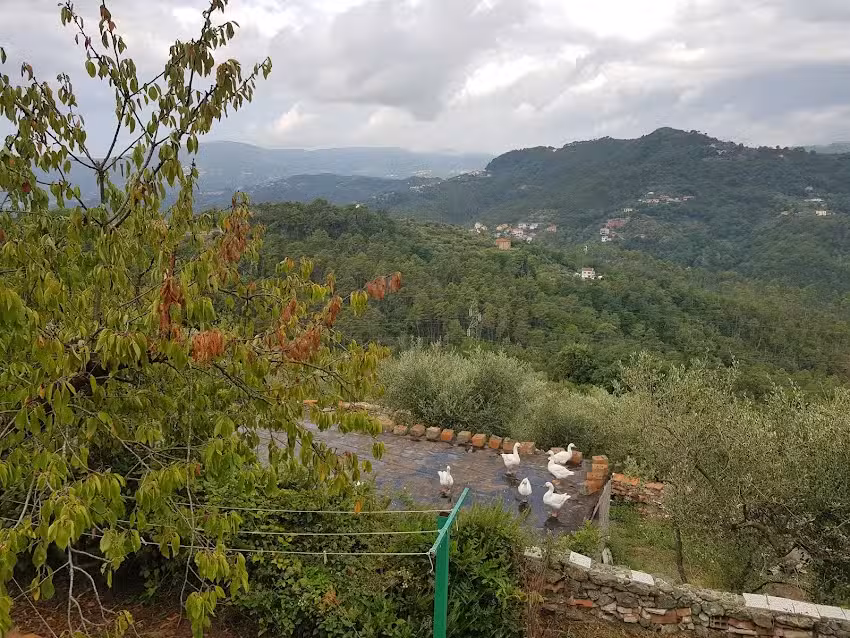 Agriturismo La Lupa Di Pisculli Stefano