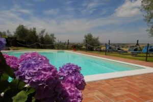 Agriturismo La Piaggiola degli Olivi di Macchiaiolo Adele