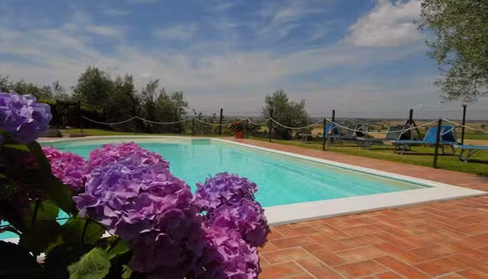 Agriturismo La Piaggiola degli Olivi di Macchiaiolo Adele