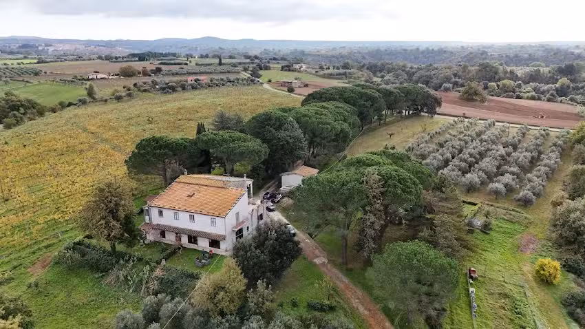 Agriturismo la Pineta