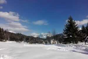 Agriturismo La Quercia Antica di Luca Miolini