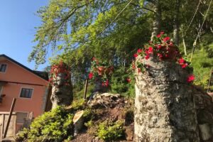 Agriturismo La Rosa Spina