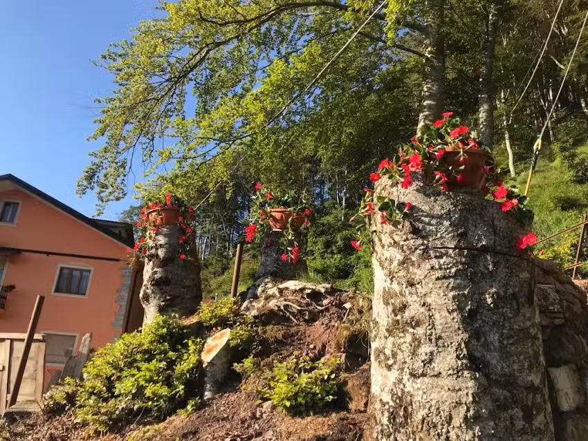 Agriturismo La Rosa Spina