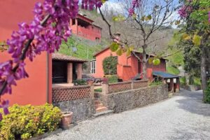 Agriturismo La Torre