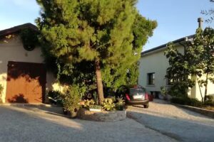 Agriturismo La vecchia Cantina