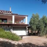 Agriturismo La Vigna