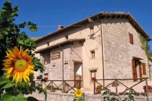 Agriturismo le Castellare