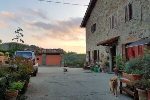 Agriturismo Le Corti