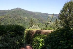 Agriturismo Le Fontanacce