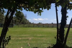 Agriturismo Le Origini