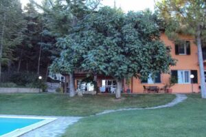 Agriturismo le Pianacce