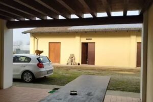 Agriturismo Le Strinade