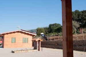 Agriturismo Le terrazze sul mare Bio