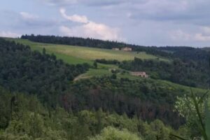 Agriturismo Lecciotondo