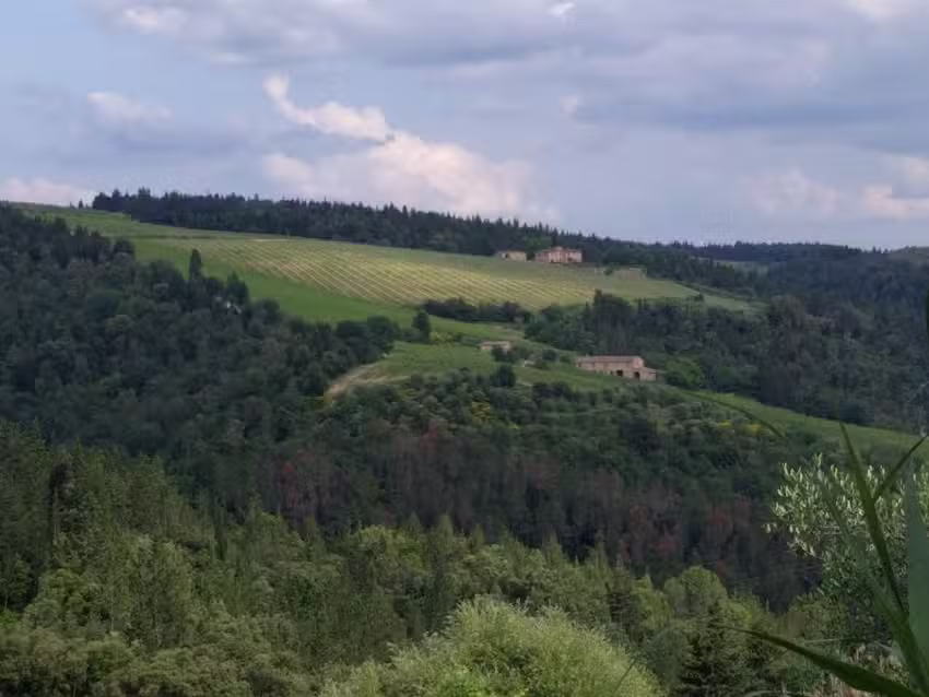 Agriturismo Lecciotondo