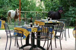 Agriturismo Malcantone Guidotti