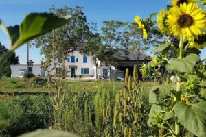 Agriturismo Mangià ad Campagna