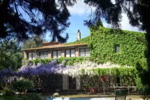 Agriturismo Marrucheto