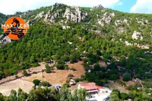 Agriturismo Monte Pino