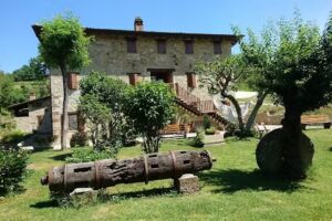 Agriturismo Mulino Vivi