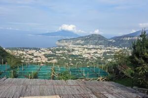 Agriturismo Nonno Antonino