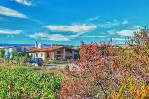 Agriturismo Nuraxi e Pinna