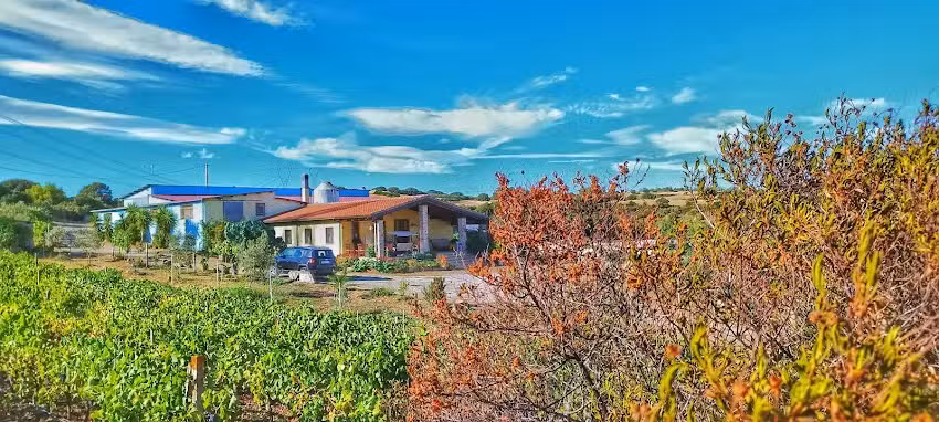 Agriturismo Nuraxi e Pinna