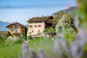 Agriturismo Nussbaumerhof