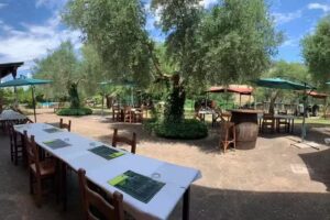 Agriturismo Panta Rei