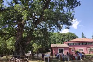 Agriturismo Parco Verde