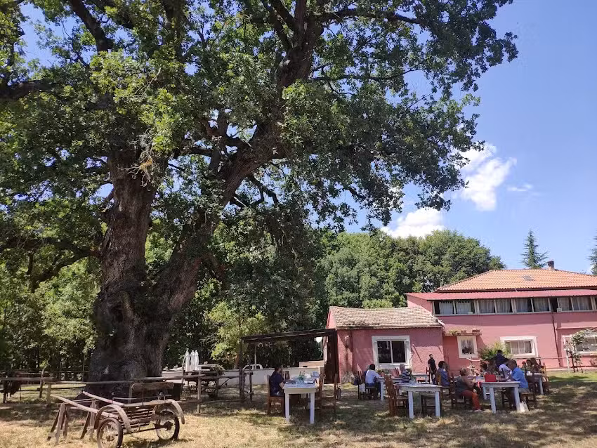 Agriturismo Parco Verde
