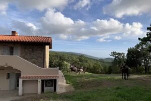 Agriturismo Pian del Pruno