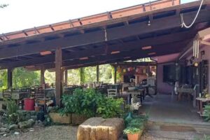 Agriturismo Pianeta Verde