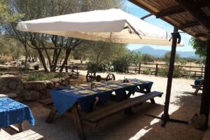 Agriturismo Pira Pinta