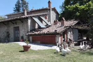 Agriturismo Podere Asche