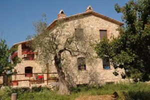 Agriturismo Podere dell’Olmo