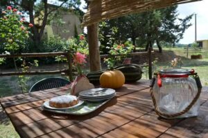 Agriturismo Podere delle Rose