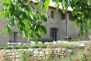 Agriturismo Podere le Olle