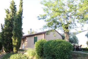 Agriturismo Podere Pini