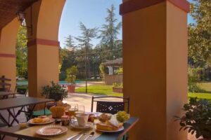 Agriturismo Podere Violino