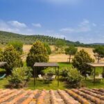 Agriturismo Poggio agli Ulivi