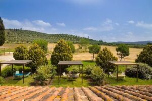 Agriturismo Poggio agli Ulivi